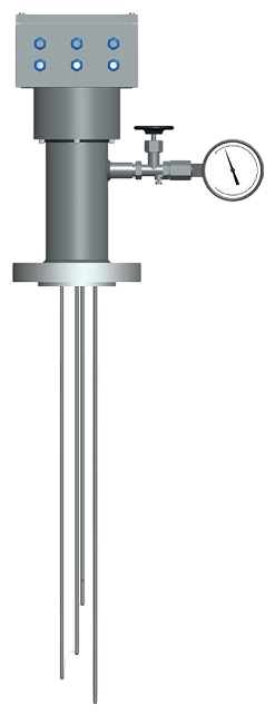 Multipoint temperature sensors